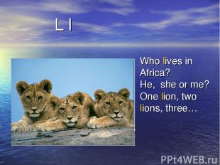 L l Who lives in Africa? He, she or me? One lion, two lions, three…