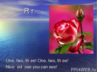 R r One, two, three! One, two, three! Nice red rose you can see!