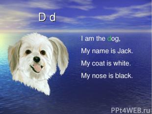 D d I am the dog, My name is Jack. My coat is white. My nose is black.