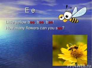 E e Little yellow bee, bee, bee! How many flowers can you see?