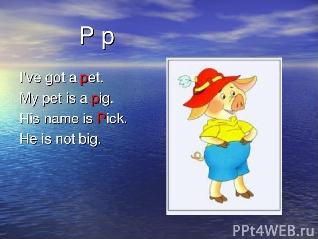 P p I’ve got a pet. My pet is a pig. His name is Pick. He is not big.