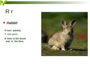 R r Rabbit It runs quickly. It eats grass. It lives in the forest and in the far