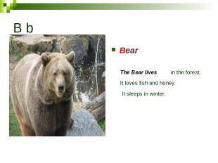 B b Bear The Bear lives in the forest. It loves fish аnd honey. It sleeps in win