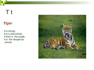 T t Tiger It is strong. It is a wild animal. It lives in the jungle. It is the d
