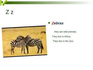 Z z Zebras they are wild animals. They live in Africa. They live in the Zoo.