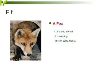 F f A Fox It is a wild animal. It is cunning. It lives in the forest.