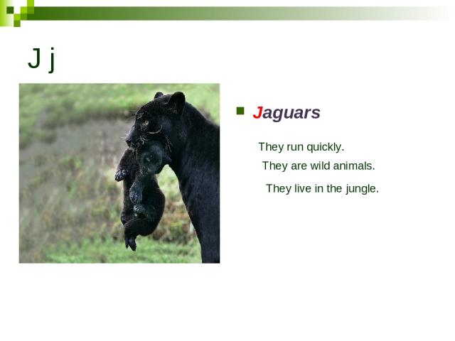 J j Jaguars They run quickly. They are wild animals. They live in the jungle.