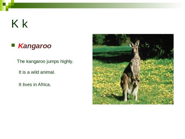 K k Kangaroo The kangaroo jumps highly. It is a wild animal. It lives in Africa.