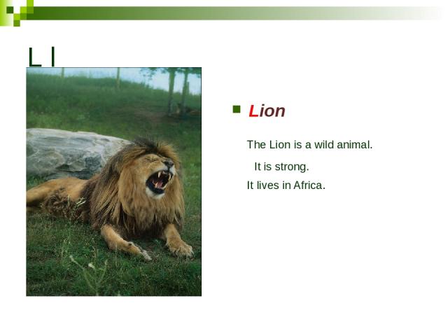 L l Lion The Lion is a wild animal. It is strong. It lives in Africa.