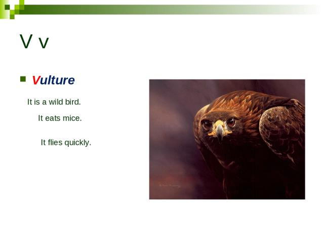 V v Vulture It is a wild bird. It eats mice. It flies quickly.