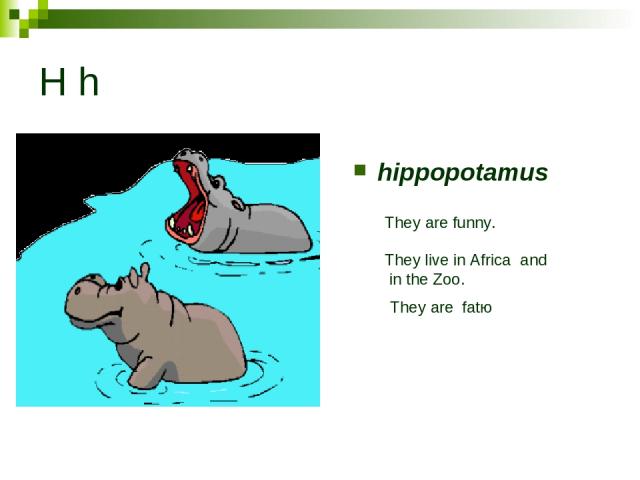 H h hippopotamus They are funny. They live in Africa and in the Zoo. They are fatю