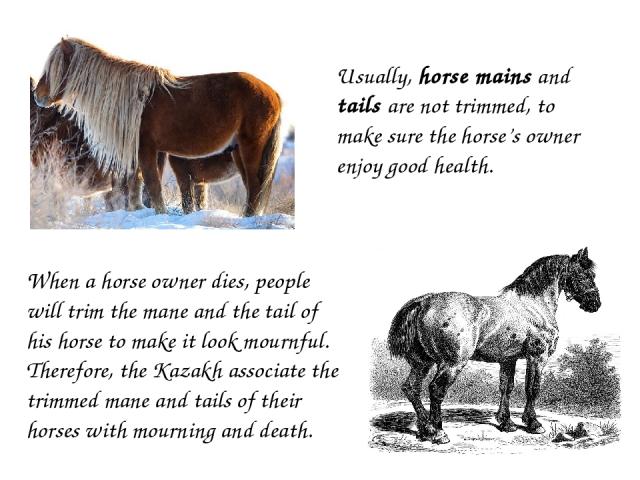 Usually, horse mains and tails are not trimmed, to make sure the horse’s owner enjoy good health. When a horse owner dies, people will trim the mane and the tail of his horse to make it look mournful. Therefore, the Kazakh associate the trimmed mane…
