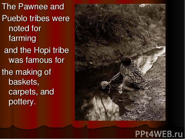 The Pawnee and Pueblo tribes were noted for farming and the Hopi tribe was famous for the making of baskets, carpets, and pottery.