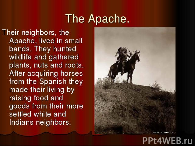 The Apache. Their neighbors, the Apache, lived in small bands. They hunted wildlife and gathered plants, nuts and roots. After acquiring horses from the Spanish they made their living by raising food and goods from their more settled white and India…