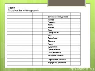 Tasks Translate the following words: Лиственный лес   Вперемежку   Хвойный лес  