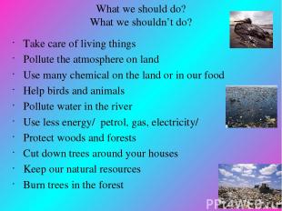 What we should do? What we shouldn’t do? Take care of living things Pollute the