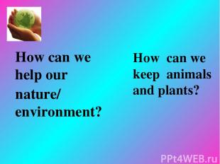How can we help our nature/ environment? How can we keep animals and plants?
