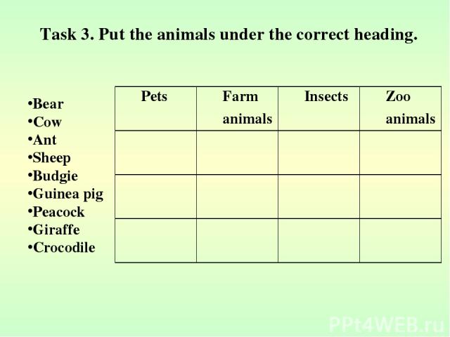 Task 3. Put the animals under the correct heading. Bear Cow Ant Sheep Budgie Guinea pig Peacock Giraffe Crocodile Pets Farm animals Insects Zoo animals