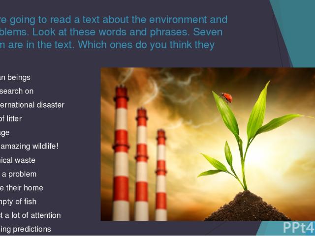 You are going to read a text about the environment and its problems. Look at these words and phrases. Seven of them are in the text. Which ones do you think they are? Human beings Do research on An international disaster A lot of litter Damage What …