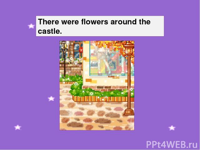 There were flowers around the castle.