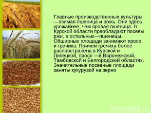   Главные производственные культуры —озимая пшеница и рожь. Они здесь урожайнее,