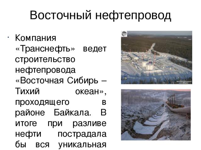 Восточный нефтепровод Компания «Транснефть» ведет строительство нефтепровода «Восточная Сибирь – Тихий океан», проходящего в районе Байкала. В итоге при разливе нефти пострадала бы вся уникальная экосистема озера. В Иркутске 18 марта 2006 года состо…