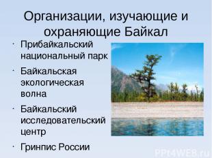Организации, изучающие и охраняющие Байкал Прибайкальский национальный парк Байк