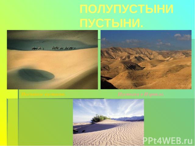 ПОЛУПУСТЫНИ ПУСТЫНИ. Песчаные пустыни. Пустыня в Израиле.
