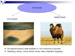 Из перечисленных ниже выбери то, что относится к пустыне: Верблюд, кактус, сосна