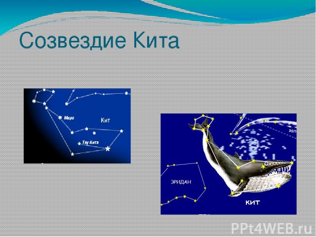 Презентация на тему созвездие рыбы астрономия