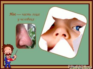 Нос — часть лица у человека