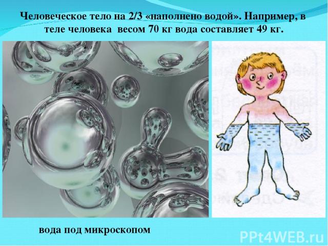 Человеческое тело на 2/3 «наполнено водой». Например, в теле человека весом 70 кг вода составляет 49 кг. вода под микроскопом