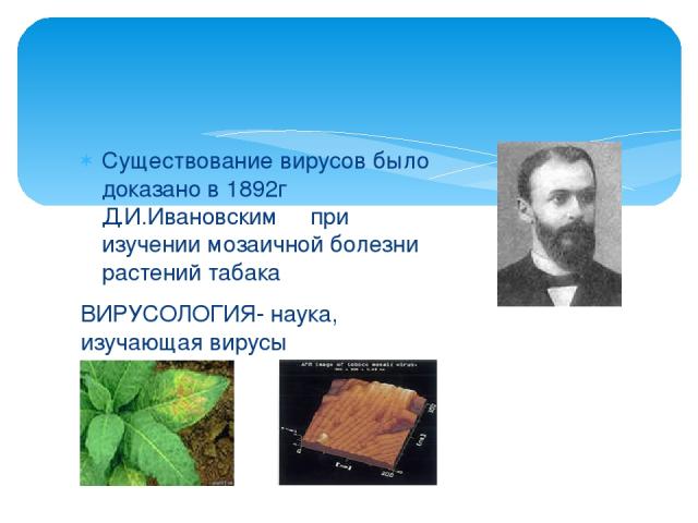 Существование вирусов было доказано в 1892г Д.И.Ивановским при изучении мозаичной болезни растений табака ВИРУСОЛОГИЯ- наука, изучающая вирусы