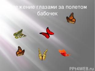 Слежение глазами за полетом бабочек