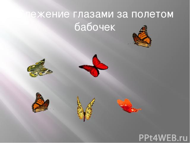 Слежение глазами за полетом бабочек