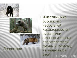 Лесостепи Животный мир российских лесостепей характеризуется смешением степных и