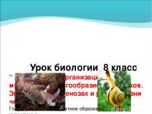 Презентация к уроку биологии для 8 класса “ Особенности организации моллюсков. М