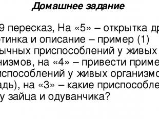 Домашнее задание § 19 пересказ, На «5» – открытка другу – картинка и описание –