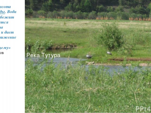 Река Тутура «Вода – красота всей природы. Вода жива, она бежит или волнуется ветром, она движется и дает жизнь и движение всему ее окружающему» С.А. Аксаков