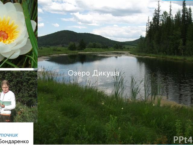 Озеро Дикуша «Вода – источник познания»Бондаренко А.