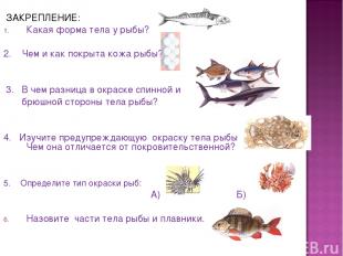 ЗАКРЕПЛЕНИЕ: Какая форма тела у рыбы? 2. Чем и как покрыта кожа рыбы? 3. В чем р