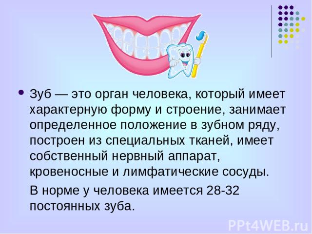 Зуб — это орган человека, который имеет характерную форму и строение, занимает определенное положение в зубном ряду, построен из специальных тканей, имеет собственный нервный аппарат, кровеносные и лимфатические сосуды. В норме у человека имеется 28…