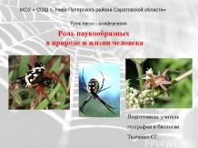 Роль паукообразных в природе и жизни человека