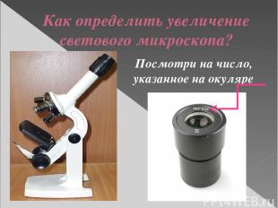 Как определить увеличение светового микроскопа? Посмотри на число, указанное на