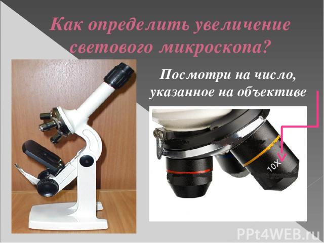 Как определить увеличение светового микроскопа? Посмотри на число, указанное на объективе