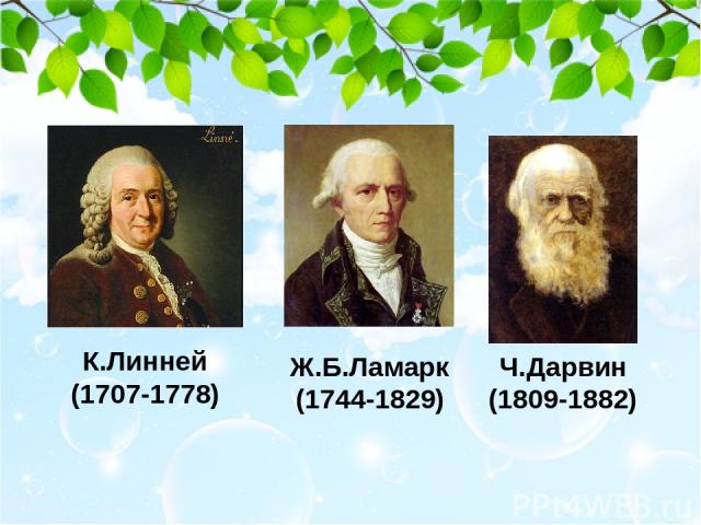 К.Линней (1707-1778) Ж.Б.Ламарк (1744-1829) Ч.Дарвин (1809-1882)