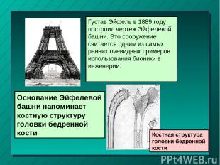 Основание Эйфелевой башни напоминает костную структуру головки бедренной кости Г