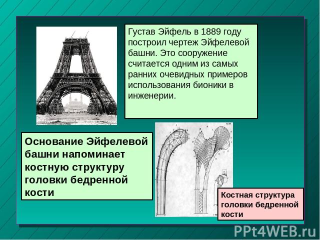 Основание Эйфелевой башни напоминает костную структуру головки бедренной кости Густав Эйфель в 1889 году построил чертеж Эйфелевой башни. Это сооружение считается одним из самых ранних очевидных примеров использования бионики в инженерии. Костная ст…