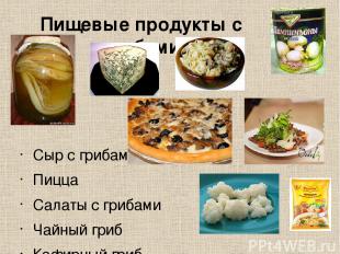 Пищевые продукты с грибами Сыр с грибами Пицца Салаты с грибами Чайный гриб Кефи