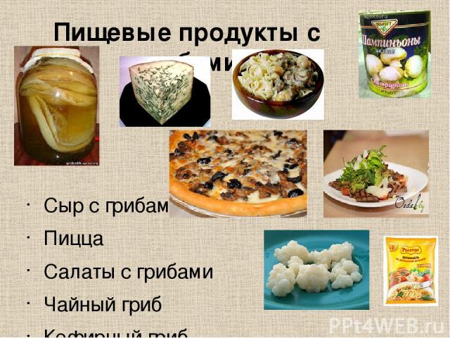 Пищевые продукты с грибами Сыр с грибами Пицца Салаты с грибами Чайный гриб Кефирный гриб Фаршированные блинчики…